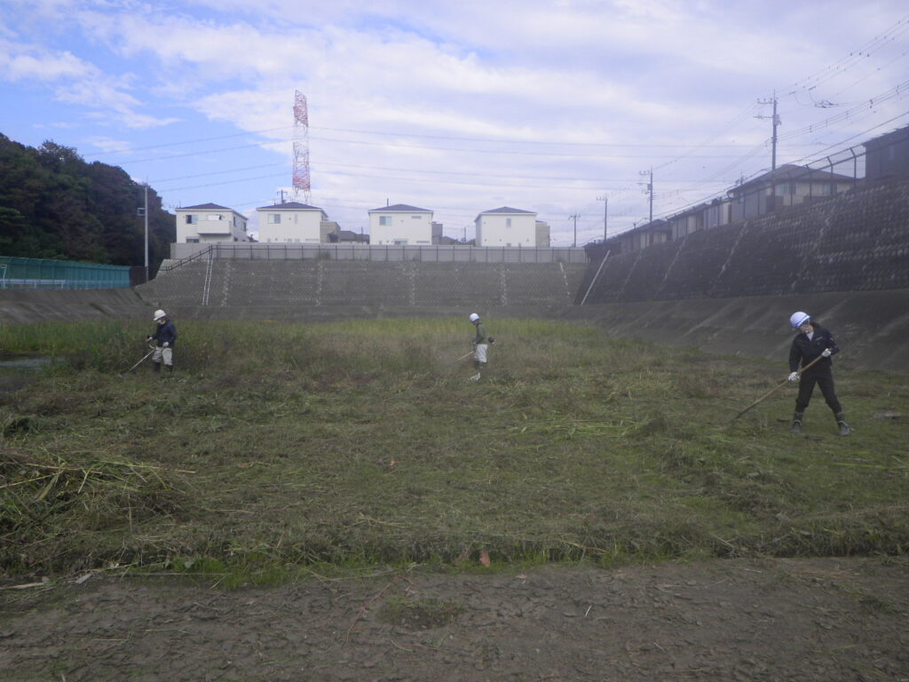 除草作業